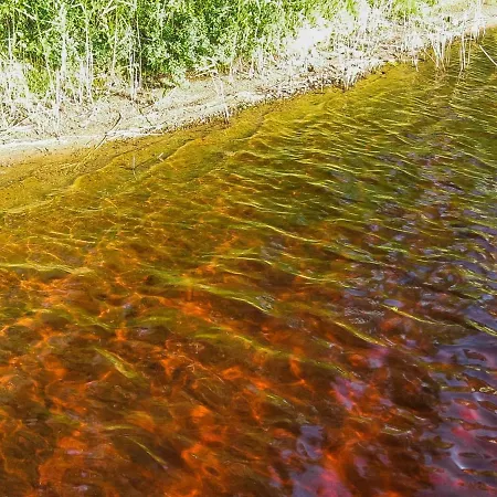 Kallionnenae By Interhome Ferienhaus Makikyla